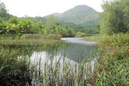 Grand Police wetland with the Colline du Sud in background.
