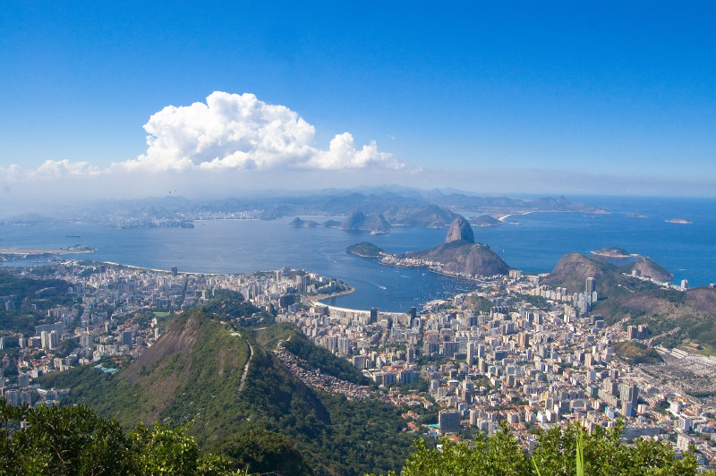 Brazilian Beauty: The Threatened Atlantic Forest