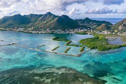 A tree covered island is surrounded by clear blue-green water.